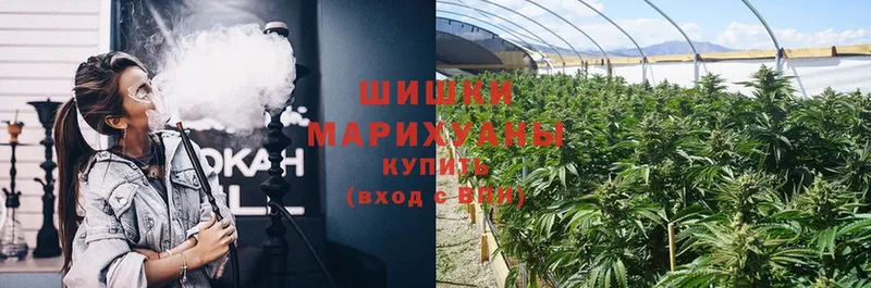 Марихуана SATIVA & INDICA  продажа наркотиков  Шебекино 